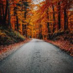 2023-09 Olavskoret Autumn