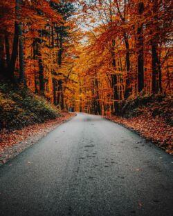 2023-09 Olavskoret Autumn