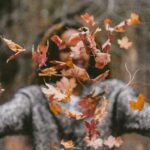 2024-08: Autumn Schedule