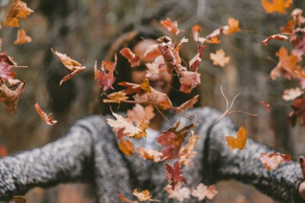 2024-08: Autumn Schedule