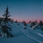 2025-01-1: As the days get longer