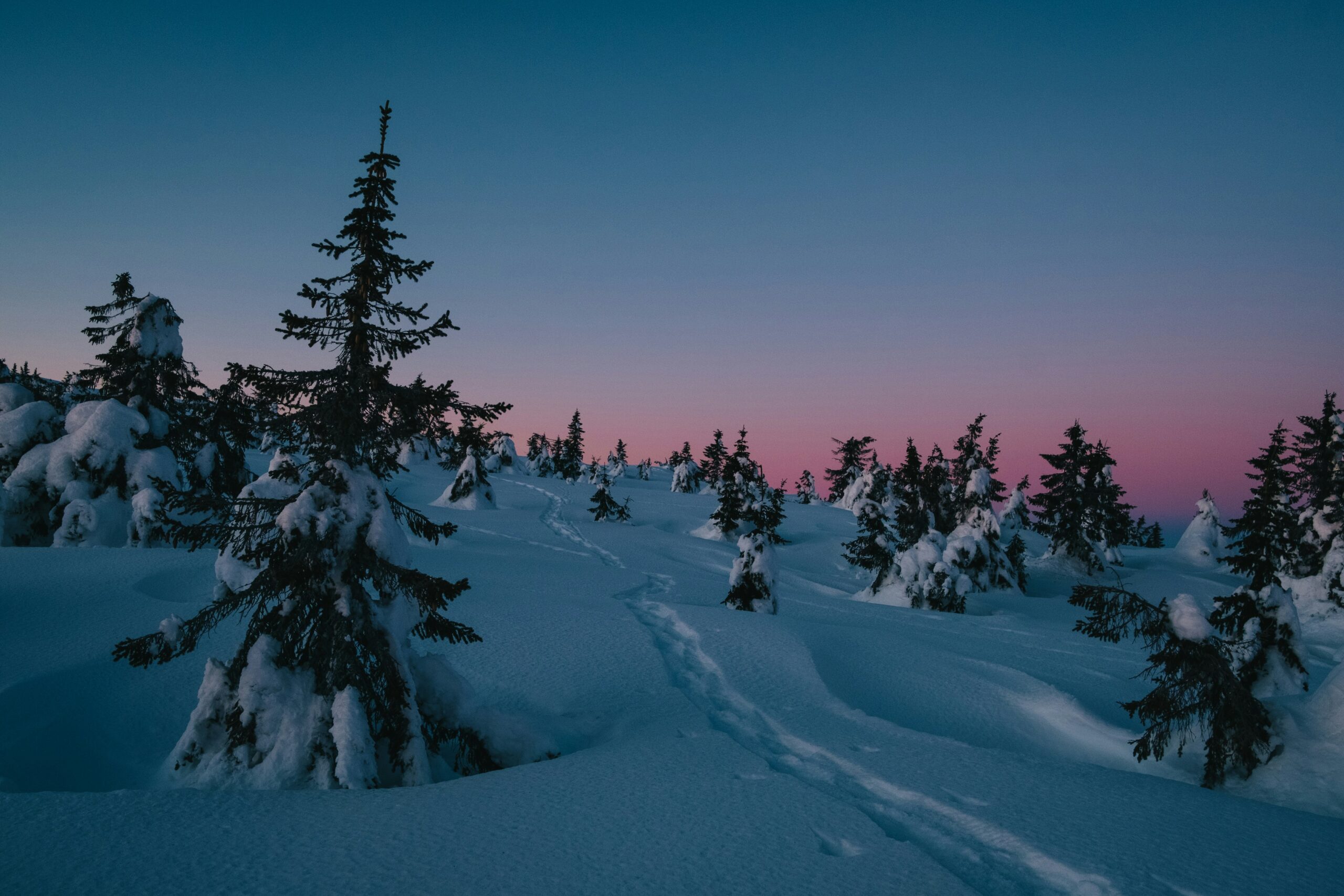 2025-01-1: As the days get longer