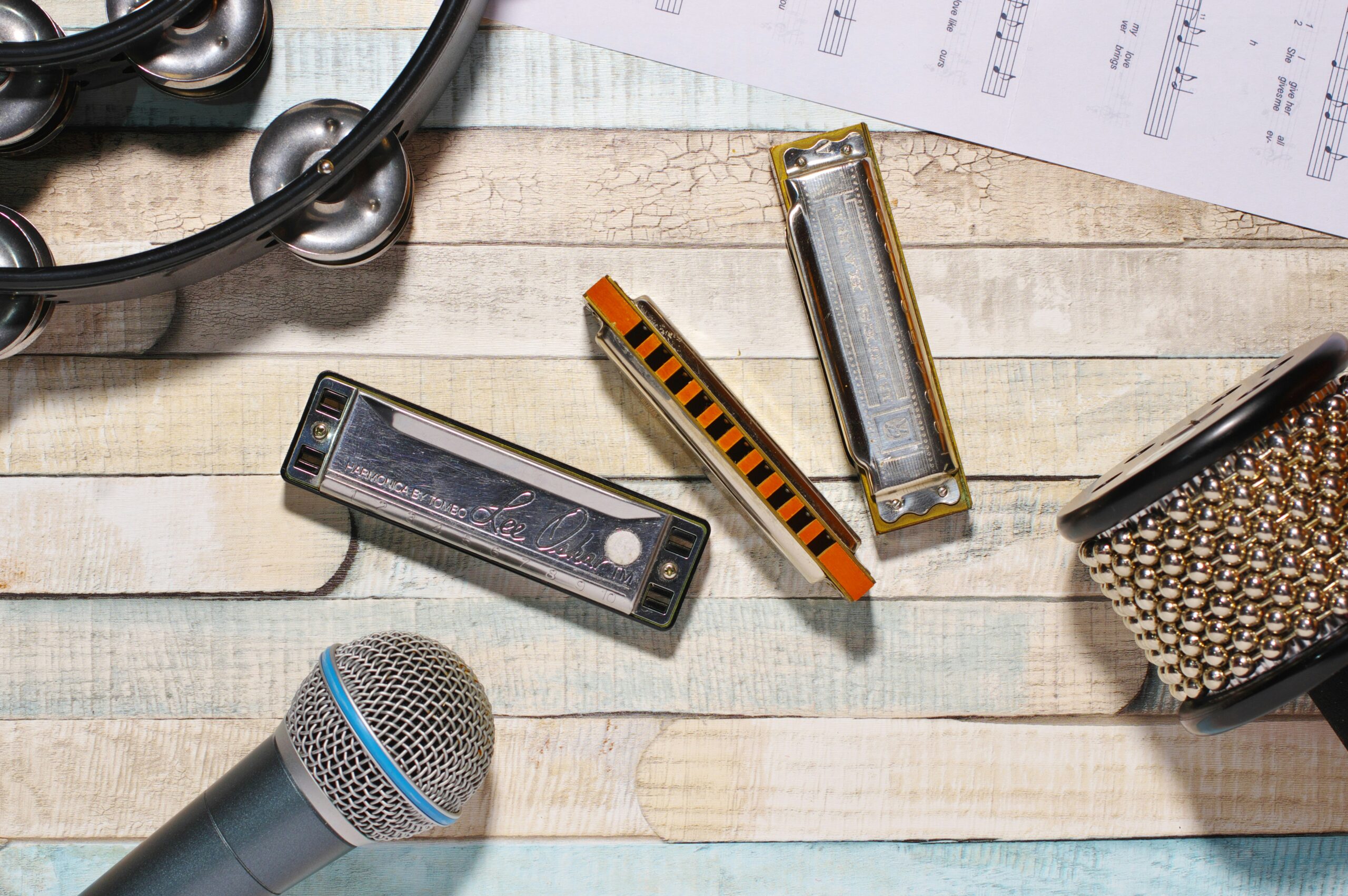 ASK024 Harmonica