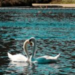 2025-02-16: Post Valentines Diem