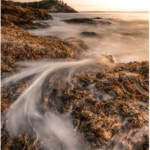 2025-09-19 Programme Nov to Dec 2025