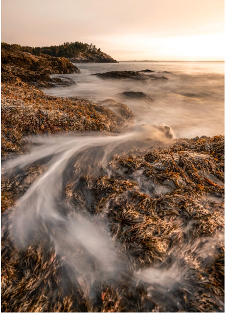 2025-09-19 Programme Nov to Dec 2025