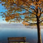 2026-09 Olavskoret Autumn 2026